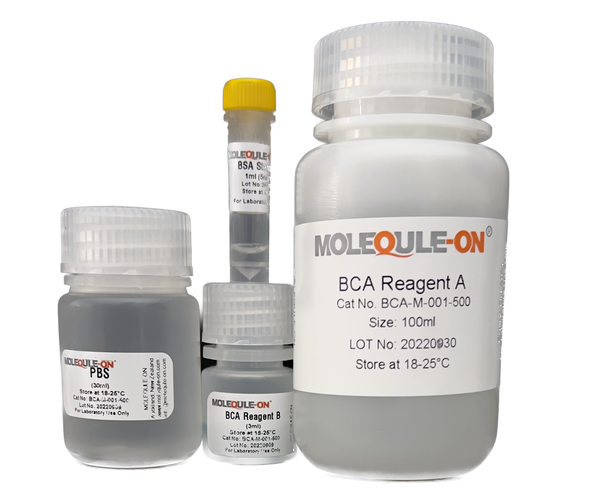Protein Kits – molequle